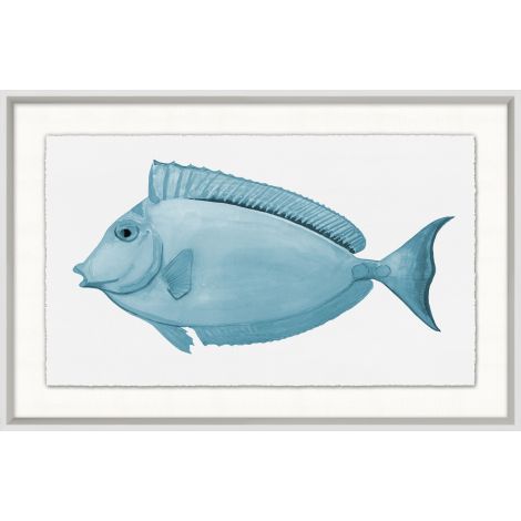 Poissons tropicaux