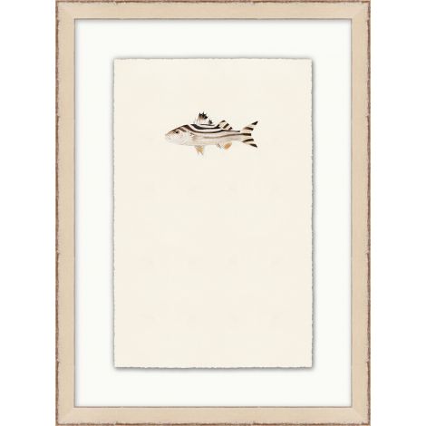 Petit poisson