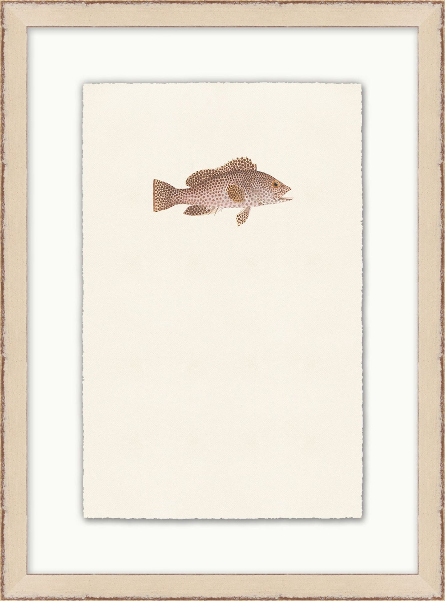 Petit poisson