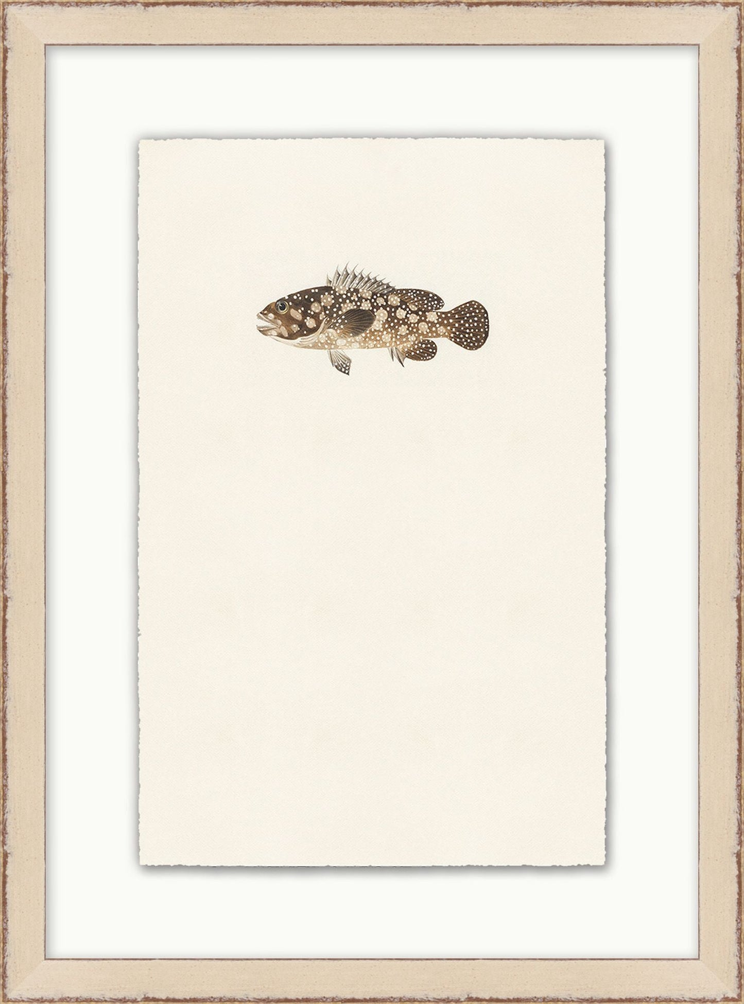 Petit poisson