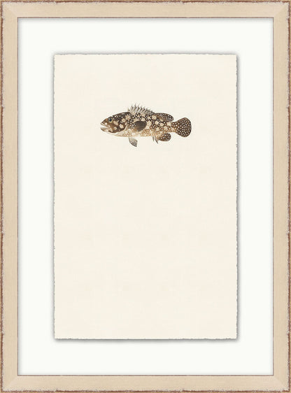 Petit poisson