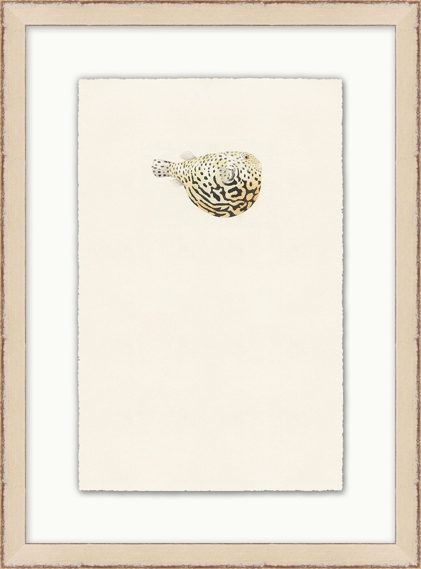 Petit poisson