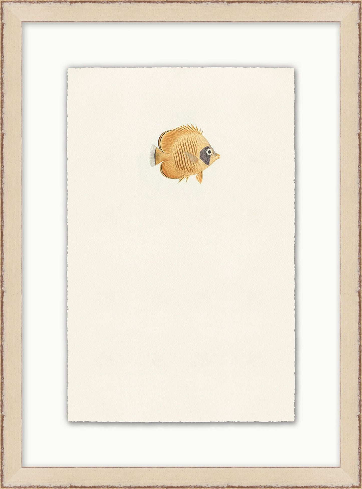 Petit poisson