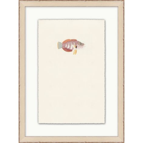 Petit poisson