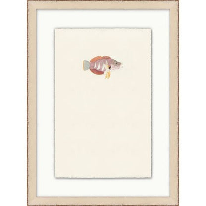 Petit poisson