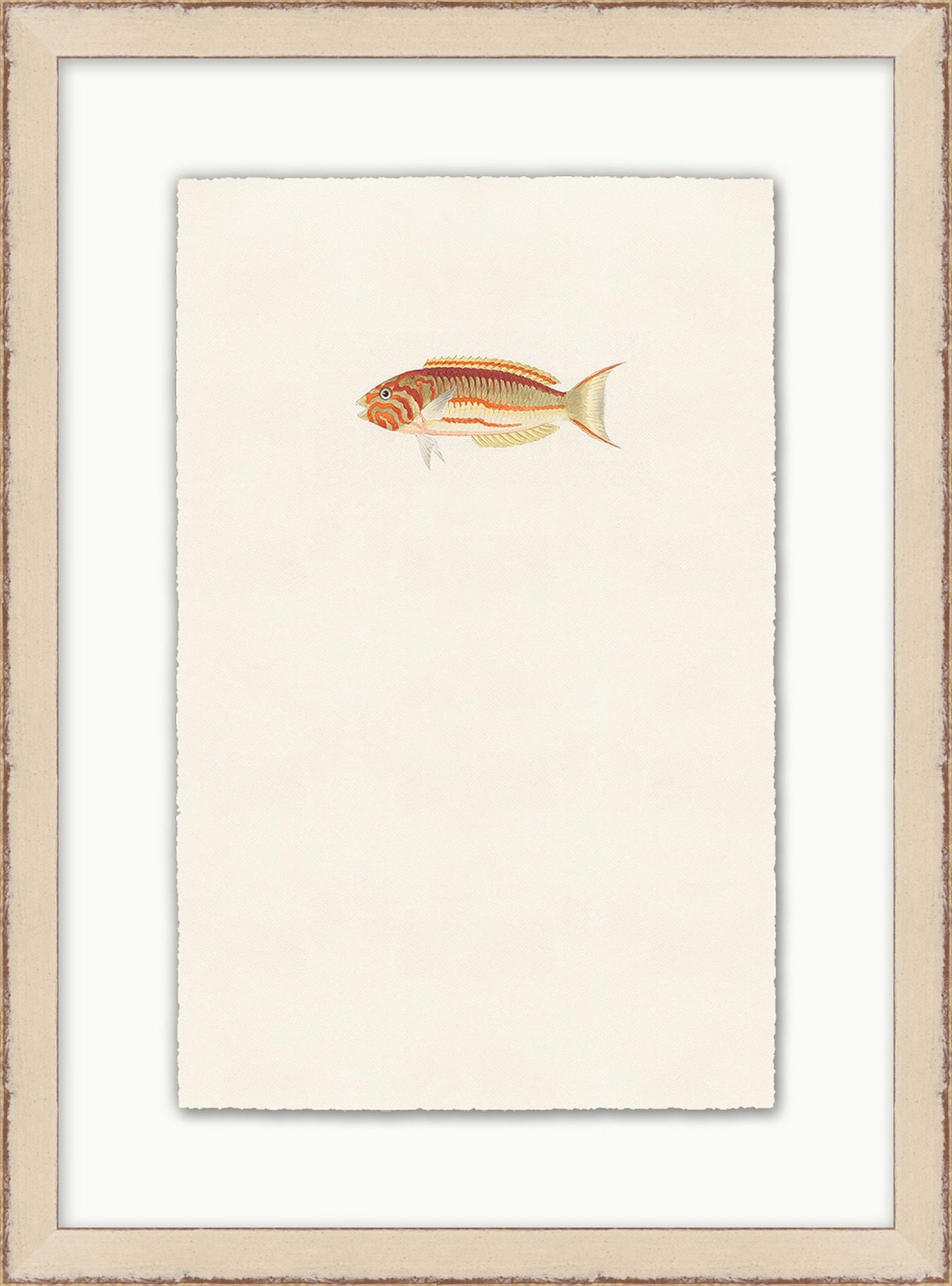 Petit poisson