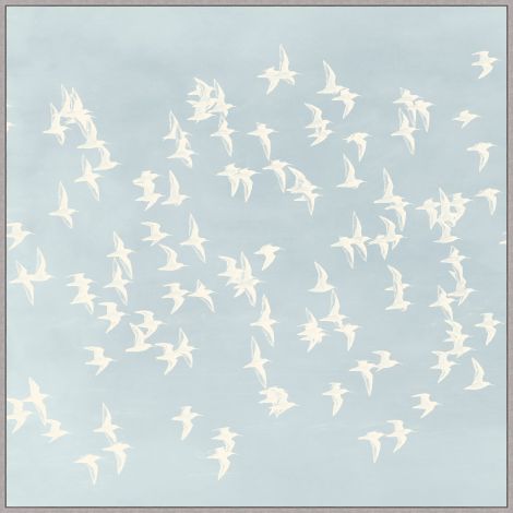 Vol du Passage 1 (Bleu) 