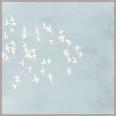 Vol du Passage 2 (Bleu) 